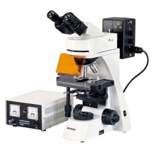 Профессиональный флуоресцентный микроскоп ADL-601F